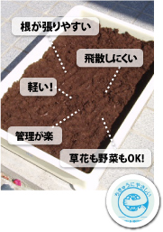 ＣＣソイル